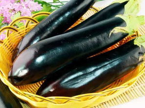 生肖龙：开拓创新，引领团队攀登高峰