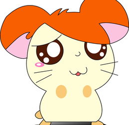 1984年属鼠男性婚姻配对有何讲究？