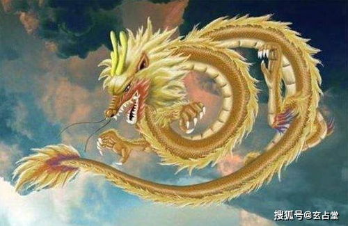 属龙人做什么生意最赚钱？