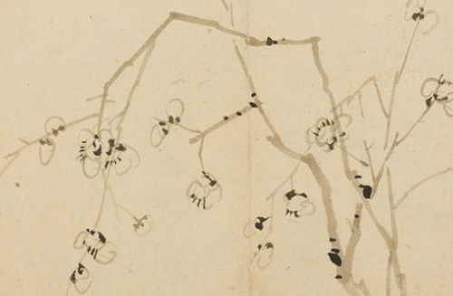 2026年属兔运势中桃花运如何，那一年运势具体表现是什么？