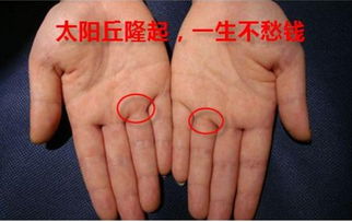 四指下方丘位的发达程度