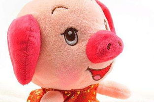 本命年十二岁属猪男孩佩戴什么饰品最旺？