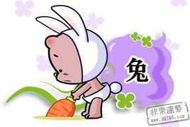 属兔的爱情运势如何？今日感情攻略有哪些？