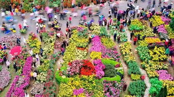 购物指南：砍价技巧全攻略 (不成功概不负责)