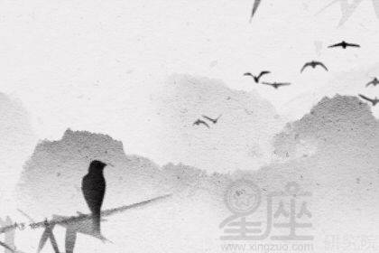 八字双蝶命是什么命格？