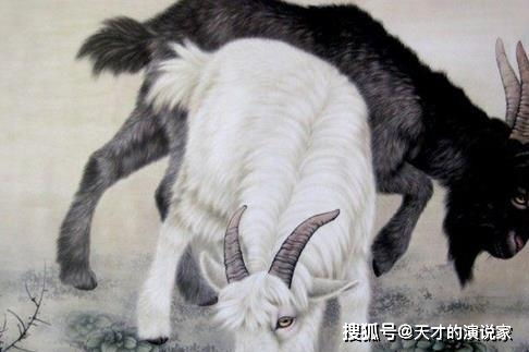二之三　属羊：和善温润型之人际优势
