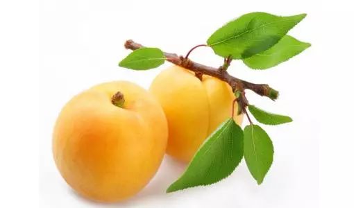 怀孕4个月老公梦见杏子，送什么寓意怀孕好兆头的礼物呢？