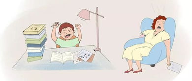 一、 探究背景与理论依据