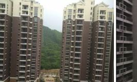 2. 梁真先生对楼盘风水好坏信息披露限制