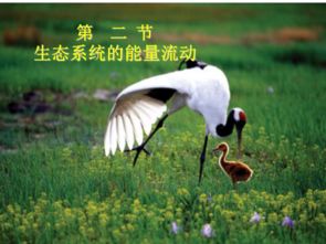 出发前：你以为的准备充分其实全是幻觉