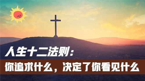 超越物质追求：价值实现的终极目标
