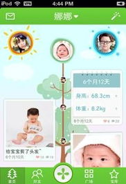 2.3 装饰摆设：吉祥寓意与积极暗示