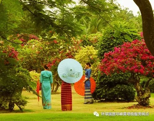 炎热带花卉园：老年人人优惠的陷阱