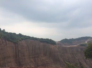 ：别犹豫了赶紧滚去买票!