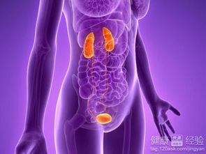 救命啊！血液病到底是个啥玩意儿？看完这篇你就懂了