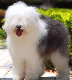 二、这些名字你敢用算我输