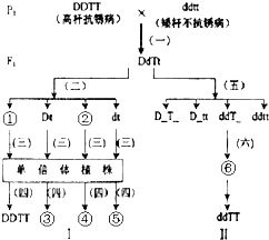 C．两种方法之间存在何种理论与实践差异？