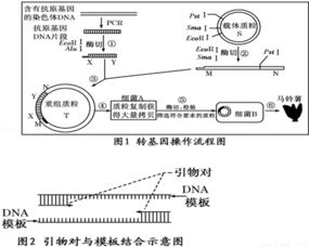三、气候异常预警机制探究