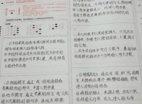 文理综与英语：五行流转中的书写规范