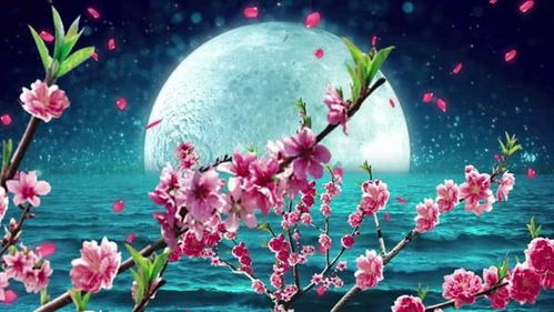 一、 整体框架与方法论概述