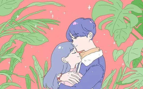 2.1 以狮子座为例的命名探索