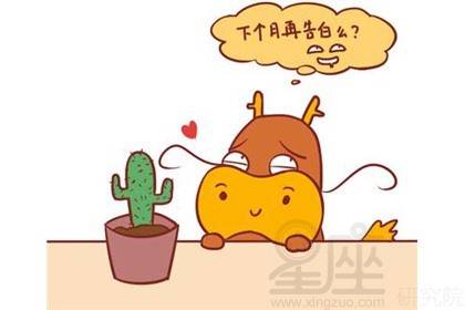 七、 属龙女性群体：优雅气质与外向活泼之间的平衡点