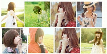 一、 资料来源及结构框架