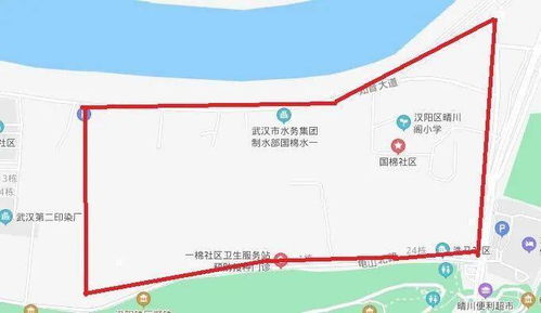 Day2：终于到了费县！这里的包子会咬人？！