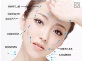 1．眉形与情感表达的关联机制