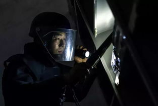 二、  手相纹路的理论解析：从金星线到生命线