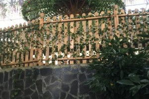 救命！这里的温泉水会发光！！！