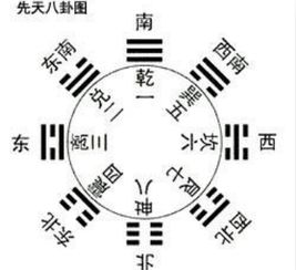 木：生机与成长