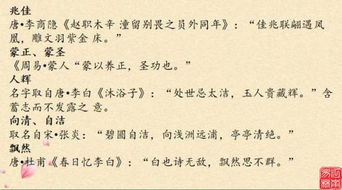 传统文化与现代命名的融合