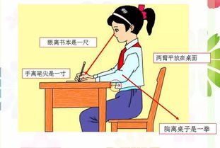 2.  竞逐文化底蕴与扼杀创立力：
