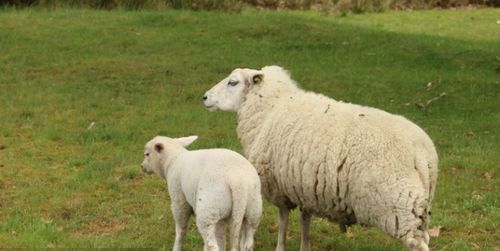 三、 特定时段之精细化研判