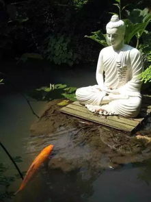 如何体验这些神奇效果呢?