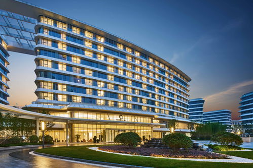 1. 入口石狮摆设与绿化缺失问题