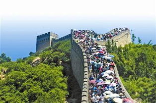 我的“悲惨”经历：被导游套路