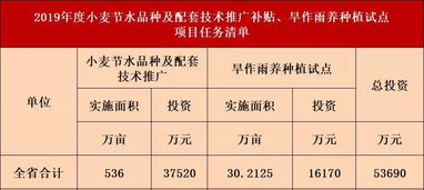 评分标准（完全随机）