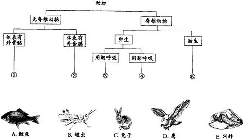 将谈笑风生对应生肖为生肖，这个生肖是什么？