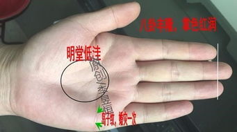 2.4 感情线两头分叉：无法掌控的情感流向