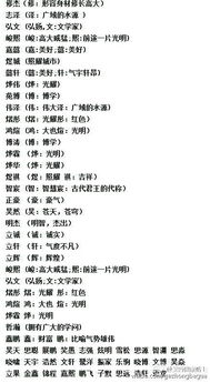 绍辉(绍：继承辉：光辉 )浩南 (浩：浩较大 )泽洋 (广阔的海洋 )鑫磊 (鑫：财富有 )鹏煊 (煊：光明,读xuān )博文 (文韬武略,博较大精较深 )昊强较大 (昊：苍天,苍穹 )越泽 (越过广阔