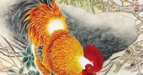 身体身体健康状况评估与风水干预策略（基于传统方式五行理论）