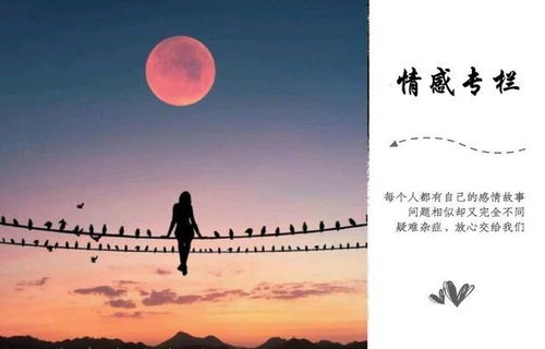 6．兔（细心关怀）