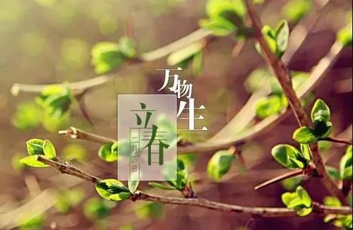 3.1 禁止剃发与头发养护原理