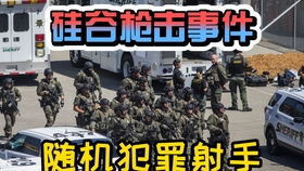 一、 蛇生肖：以冷静睿智为基石的持续升华