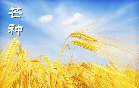 藏粮于地与藏粮于技的深度实践