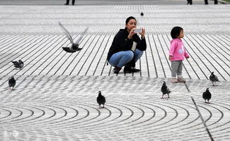 八字中岁运并临是什么意思？