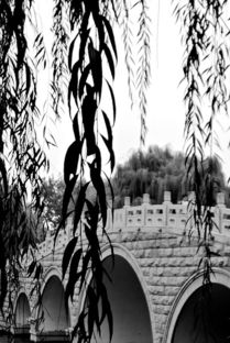 ：季节更替与五行流转中的济南秋韵