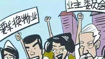 我们来认真（？）推荐几个公司名字